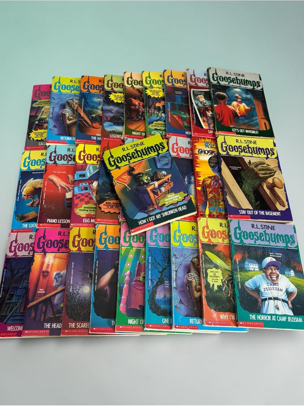 Goosebumps Kids Book Collection - Multi-Color